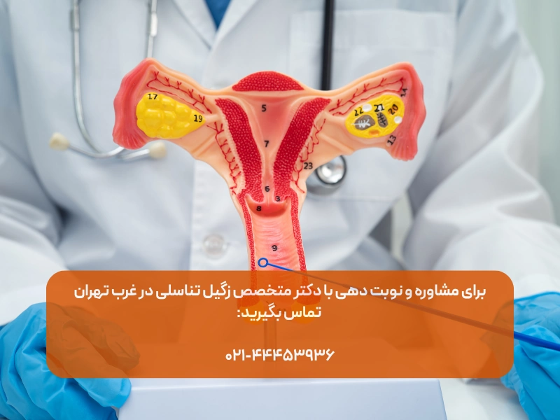 دکتر متخصص زگیل تناسلی در غرب تهران